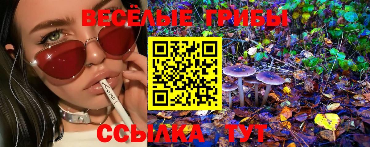 Вязьма  Галлюциногенные грибы Psilocybine cubensis  даркнет сайт  Галлюциногенные грибы MAGIC MUSHROOMS  Вход с VPN 