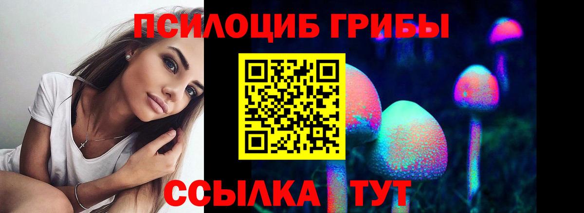 Псилоцибиновые грибы Psilocybine cubensis Вязьма